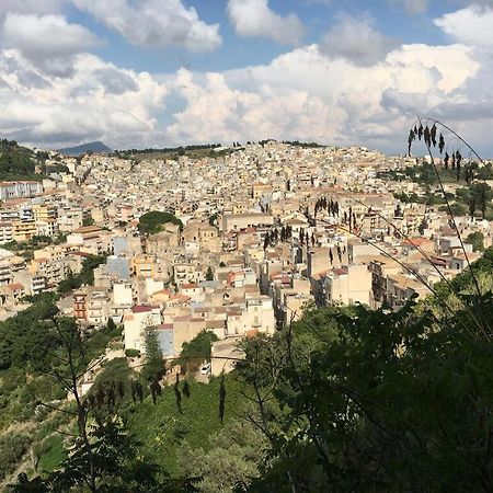 Apartamento La Domus Di Segesta "Smart Solution" Calatafimi Exterior foto