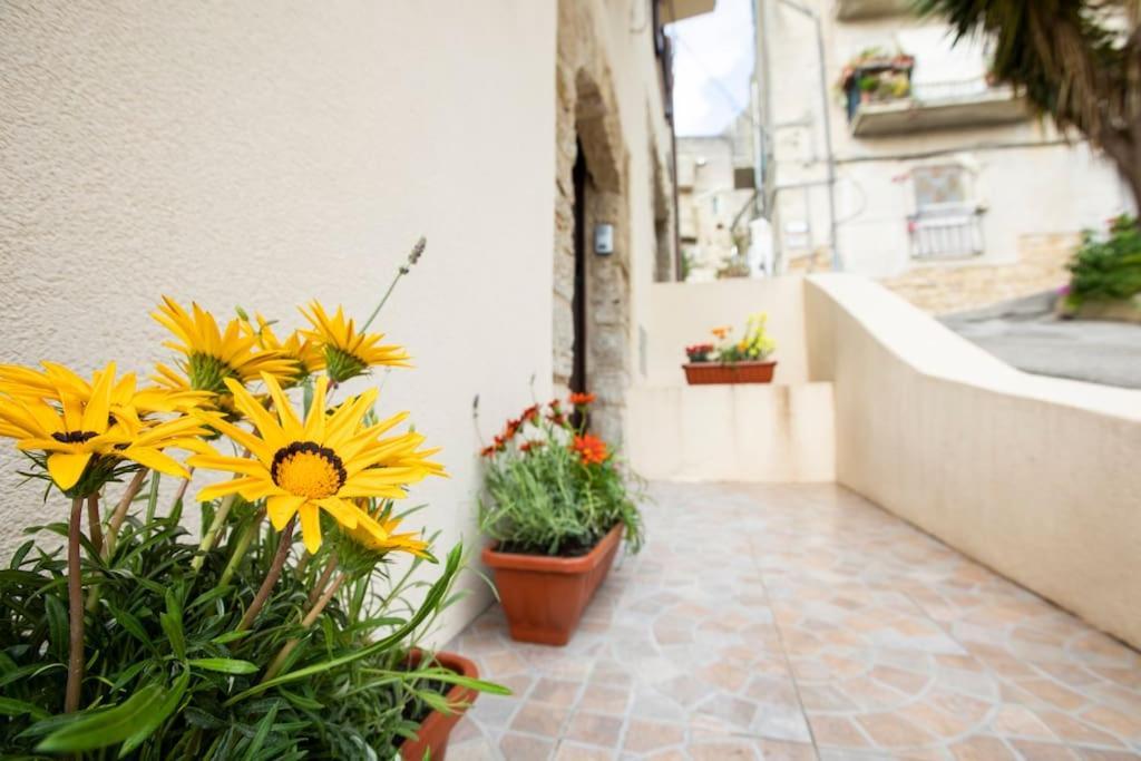 Apartamento La Domus Di Segesta "Smart Solution" Calatafimi Exterior foto