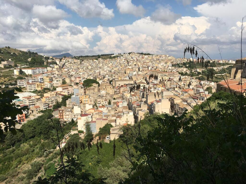 Apartamento La Domus Di Segesta "Smart Solution" Calatafimi Exterior foto